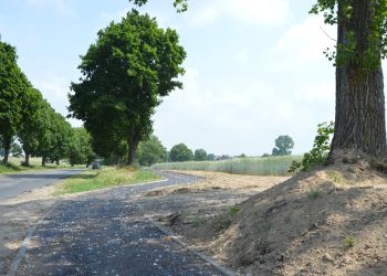 Ścieżka w ogniu krytyki