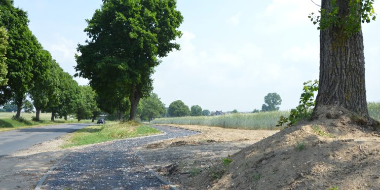 Ścieżka w ogniu krytyki