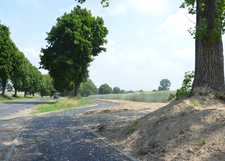 Ścieżka w ogniu krytyki