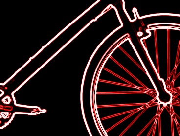 Rajd rowerowy śladami przodków