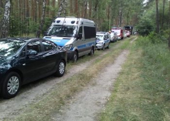 Ciało 44-latki w powidzkim lesie