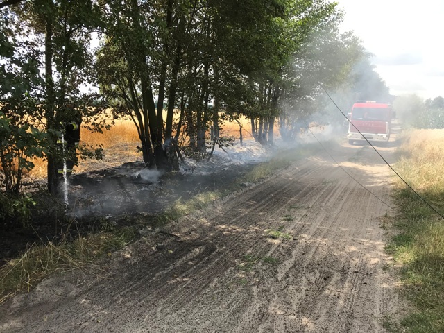 Zalesie: Paliło się zboże na pniu ZDJĘCIA