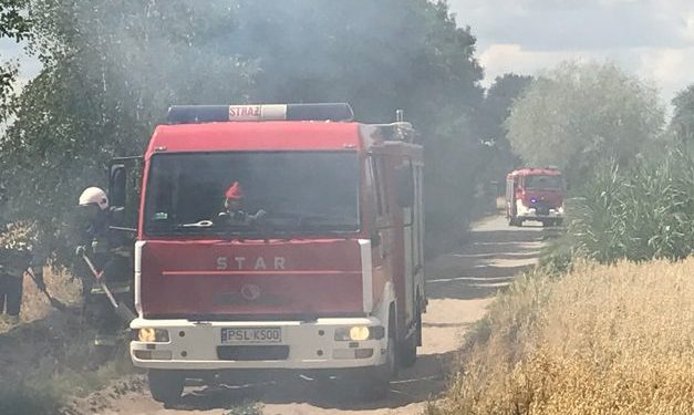 Zalesie: Paliło się zboże na pniu ZDJĘCIA