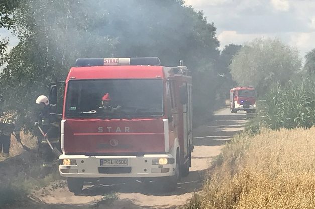 Zalesie: Paliło się zboże na pniu ZDJĘCIA