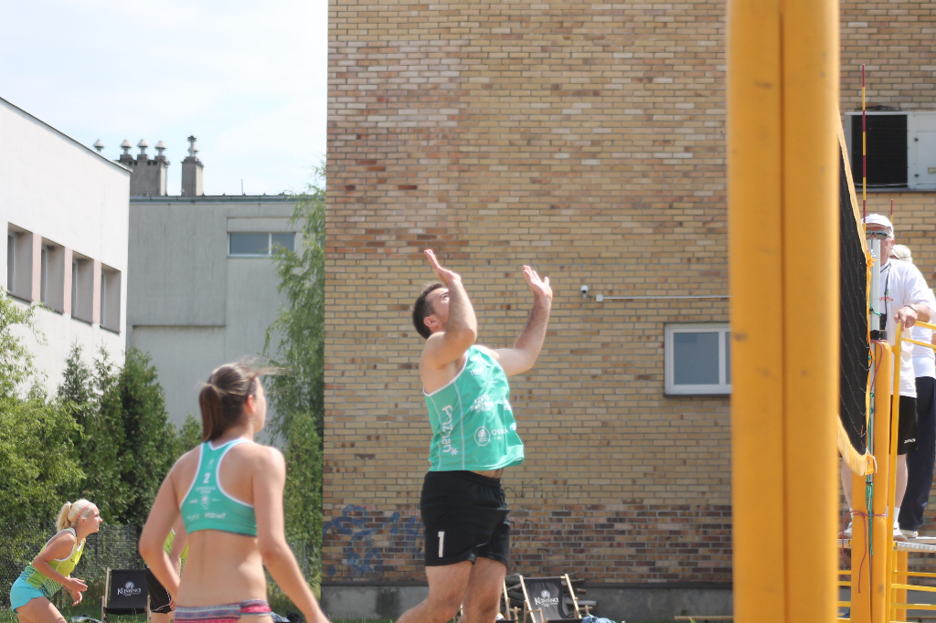 Wawrzynkowa siatkówka plażowa na fotografii