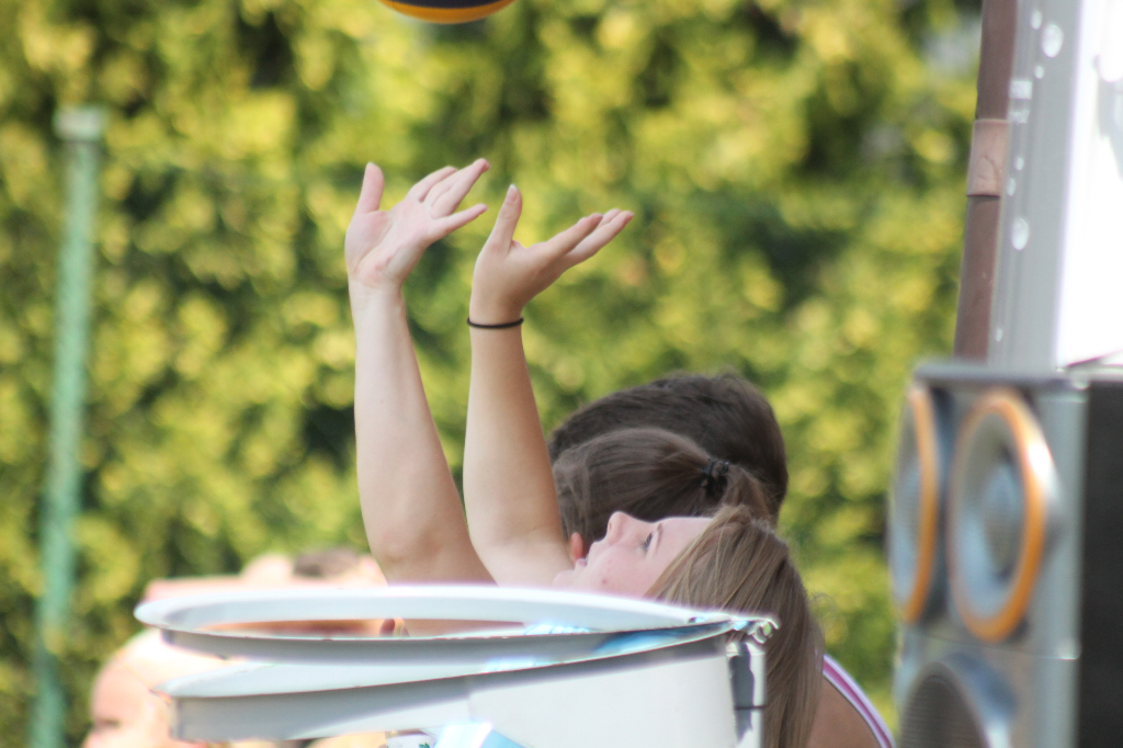 Wawrzynkowa siatkówka plażowa na fotografii