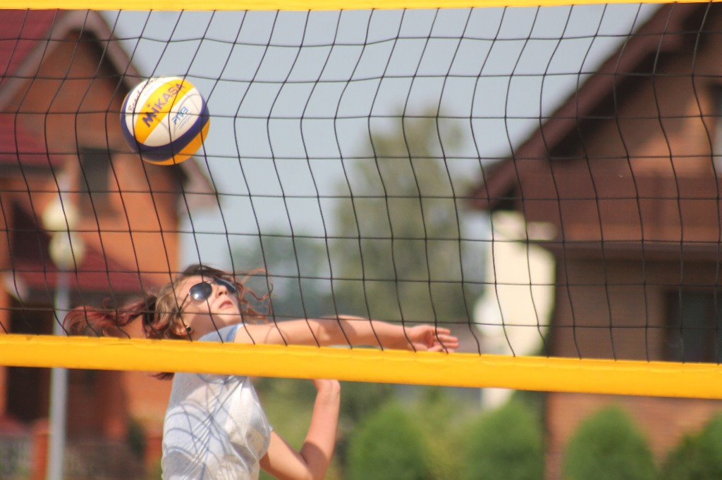 Wawrzynkowa siatkówka plażowa na fotografii