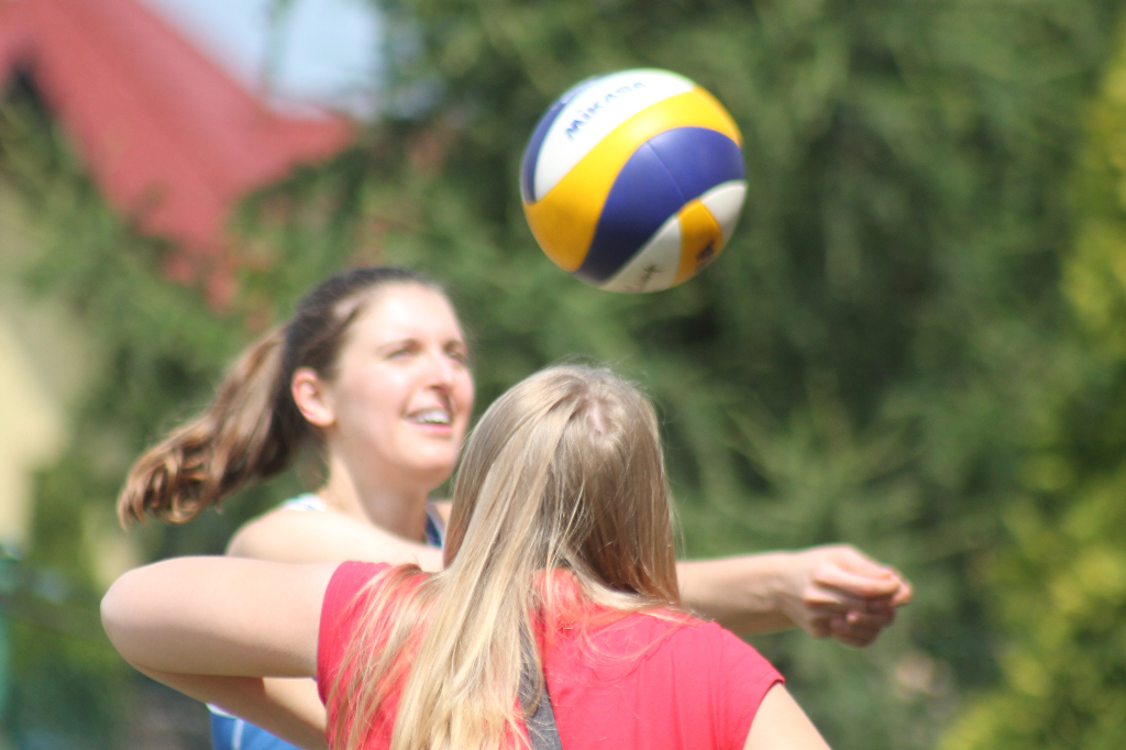 Wawrzynkowa siatkówka plażowa na fotografii