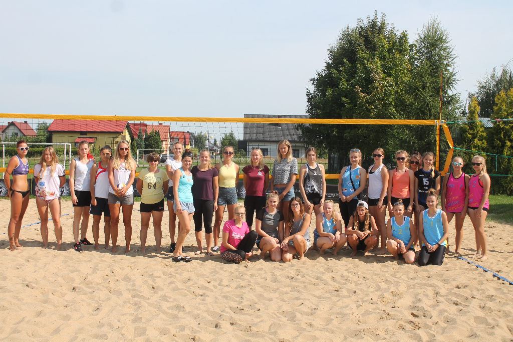 Wawrzynkowa siatkówka plażowa na fotografii