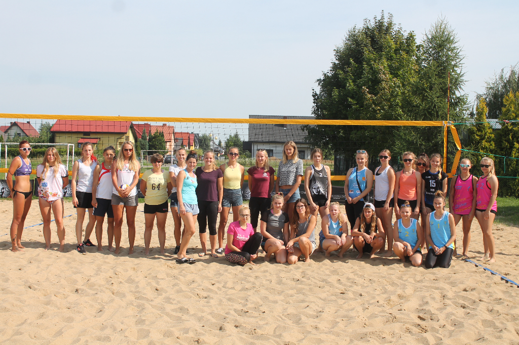 Wawrzynkowa siatkówka plażowa na fotografii