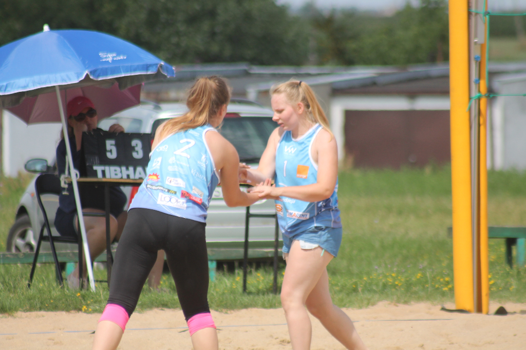 Wawrzynkowa siatkówka plażowa na fotografii
