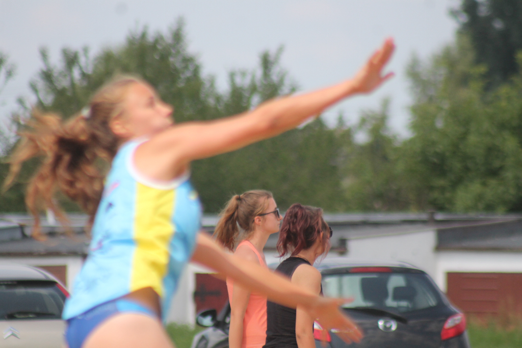 Wawrzynkowa siatkówka plażowa na fotografii