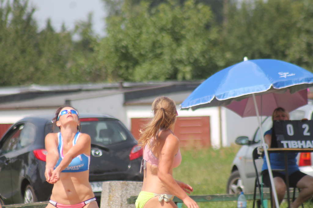 Wawrzynkowa siatkówka plażowa na fotografii