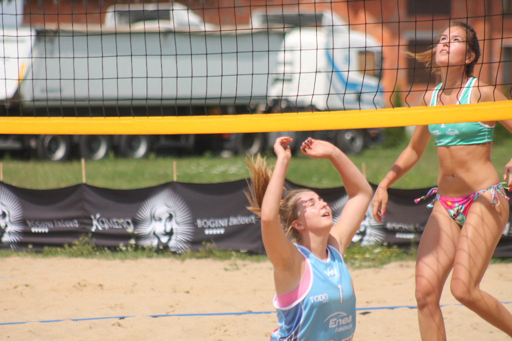 Wawrzynkowa siatkówka plażowa na fotografii