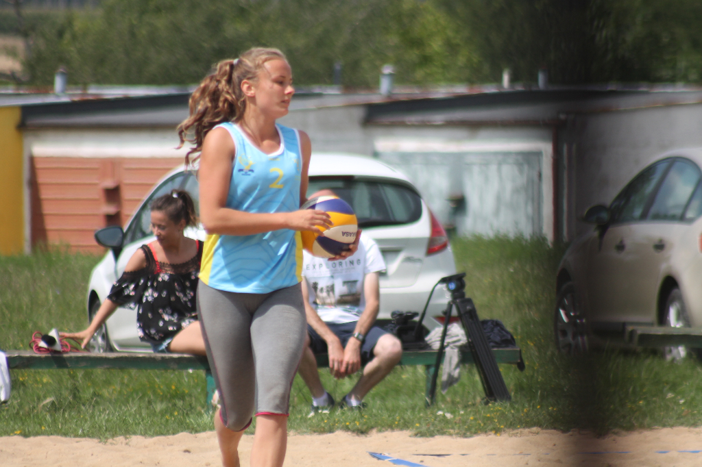Wawrzynkowa siatkówka plażowa na fotografii