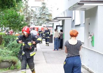 Akcja w bloku na Tysiąclecia. Zobacz film