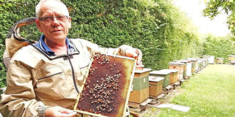 Pszczoły w niebezpieczeństwie. To wyrok