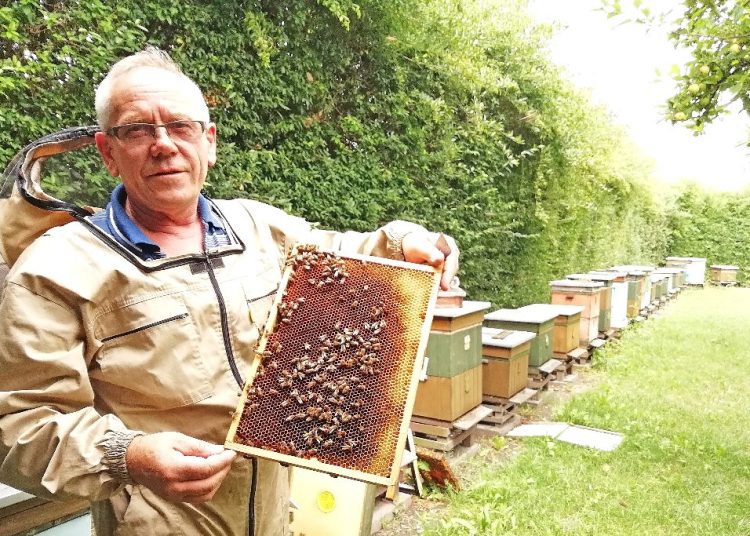 Pszczoły w niebezpieczeństwie. To wyrok