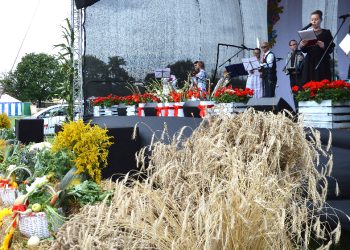 Rolnicza tragedia. Co z dożynkami?