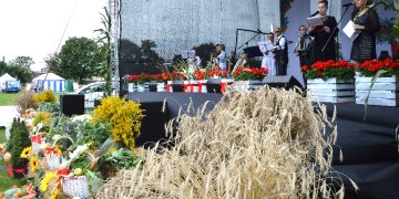 Rolnicza tragedia. Co z dożynkami?