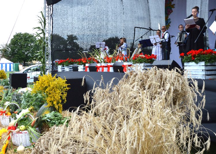 Rolnicza tragedia. Co z dożynkami?