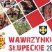 Trwają Wawrzynki Słupeckie. Sprawdź program