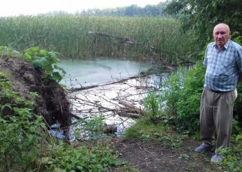 Kto posprząta powalone drzewo?