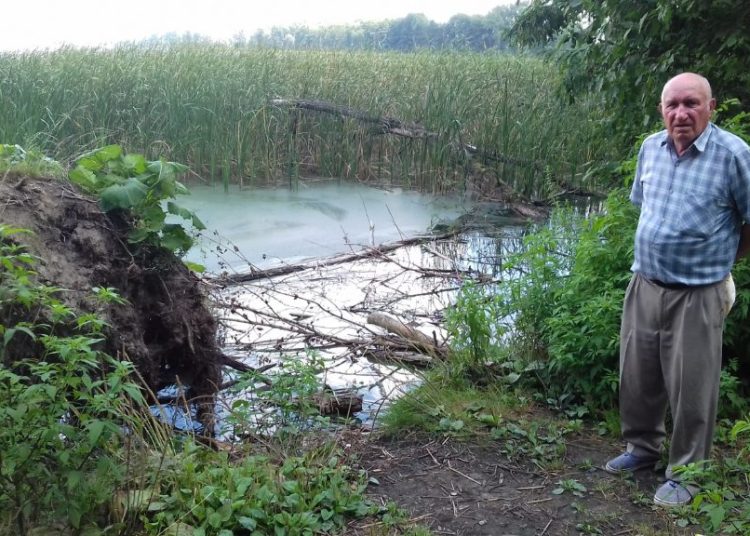 Kto posprząta powalone drzewo?