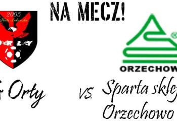 Orły odrobią pucharowe zaległości