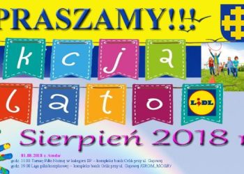 Akcja Lato z MOSiRem. Co nas czeka w sierpniu