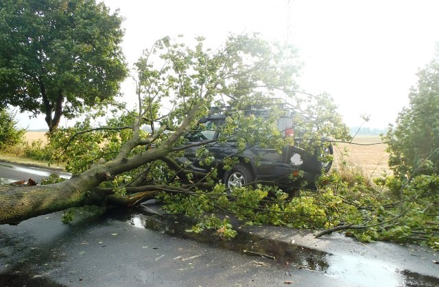 Drzewo przewróciło się na jadący samochód