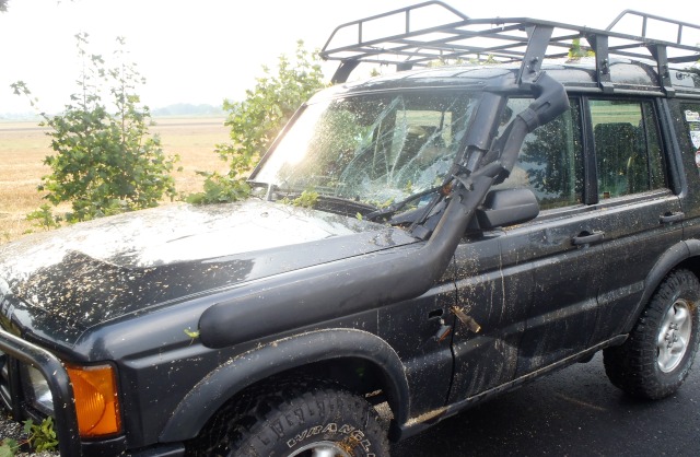 Drzewo przewróciło się na jadący samochód