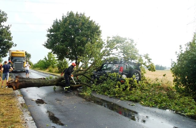 Drzewo przewróciło się na jadący samochód