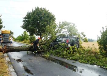 Drzewo przewróciło się na jadący samochód