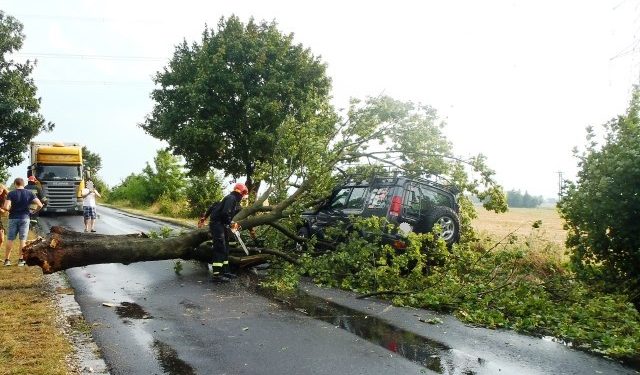 Drzewo przewróciło się na jadący samochód