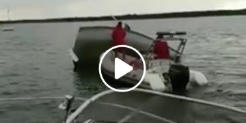 Wywrotka żaglówki, 4 osoby w wodzie. Zobacz film