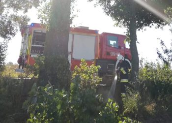 Zapaliła się trawa w Osówcu