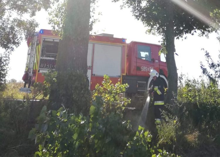 Zapaliła się trawa w Osówcu