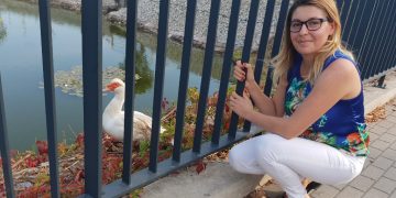 Chce ratować kaczki ze słupeckiego stawku