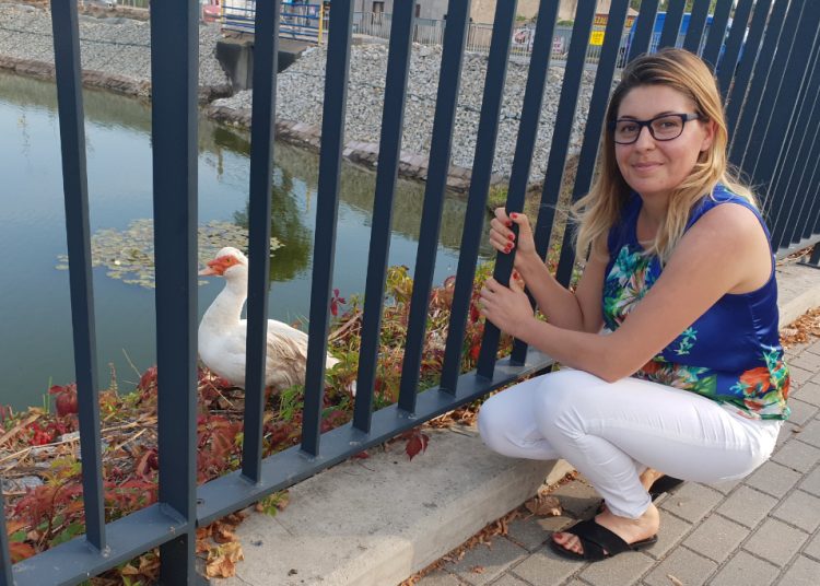 Chce ratować kaczki ze słupeckiego stawku