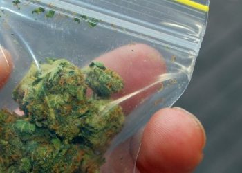 Miał przy sobie 18 gramów marihuany