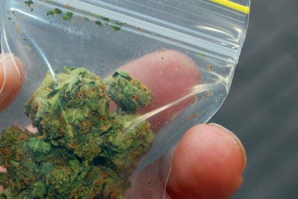 Miał przy sobie 18 gramów marihuany