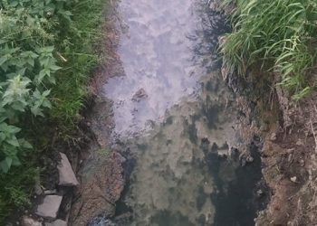 Cuchnące ścieki Konspolu zanieczyściły słupecką rzeczkę