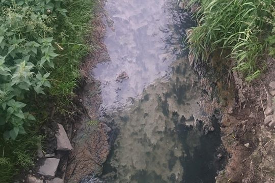 Cuchnące ścieki Konspolu zanieczyściły słupecką rzeczkę