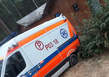 Załoga karetki potrzebowała pomocy