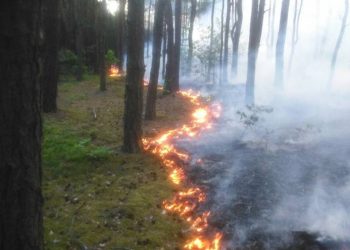 Kolejny pożar w Ostrowie