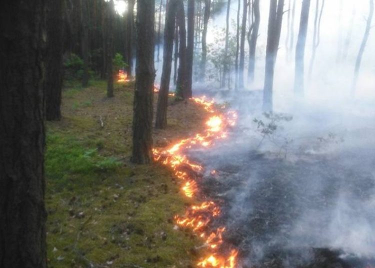 Kolejny pożar w Ostrowie