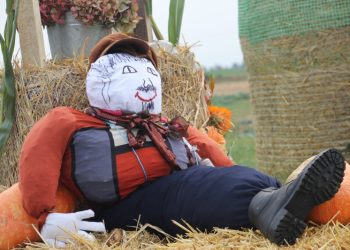 Tak przygotowali się na dożynki ZDJĘCIA