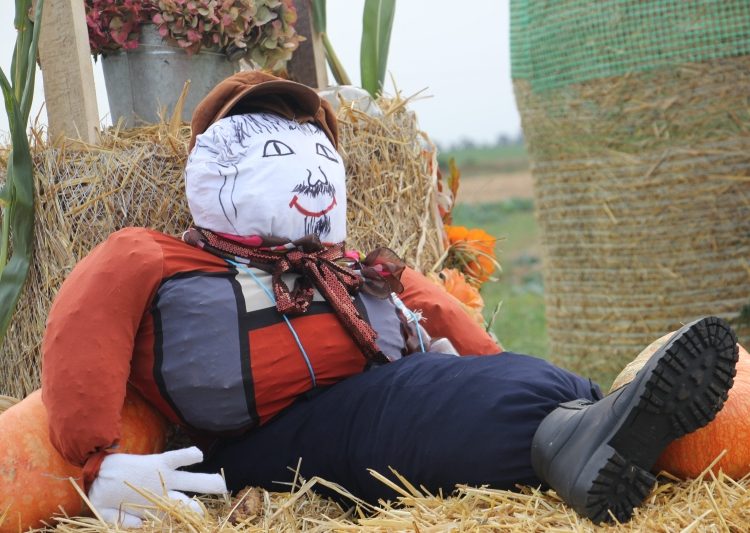 Tak przygotowali się na dożynki ZDJĘCIA