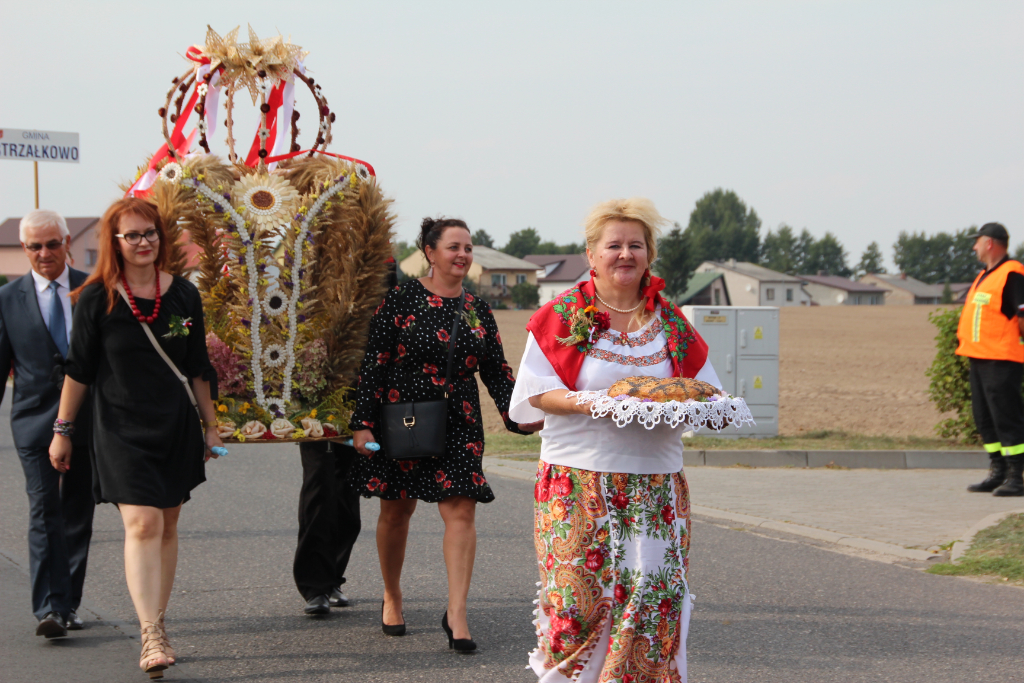 Dożynki w obiektywie Kuriera. Zobacz zdjęcia